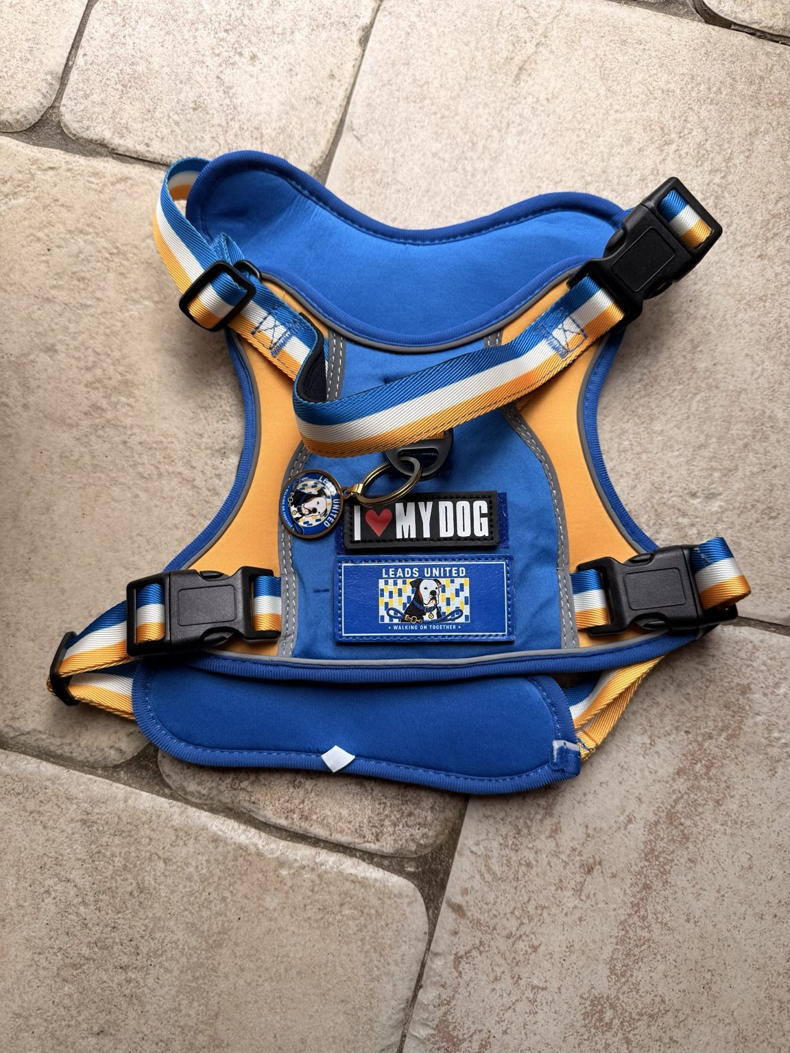 Front view of the blue, yellow and white Leads United harness with the three supplied patches and brass identity tag attached.