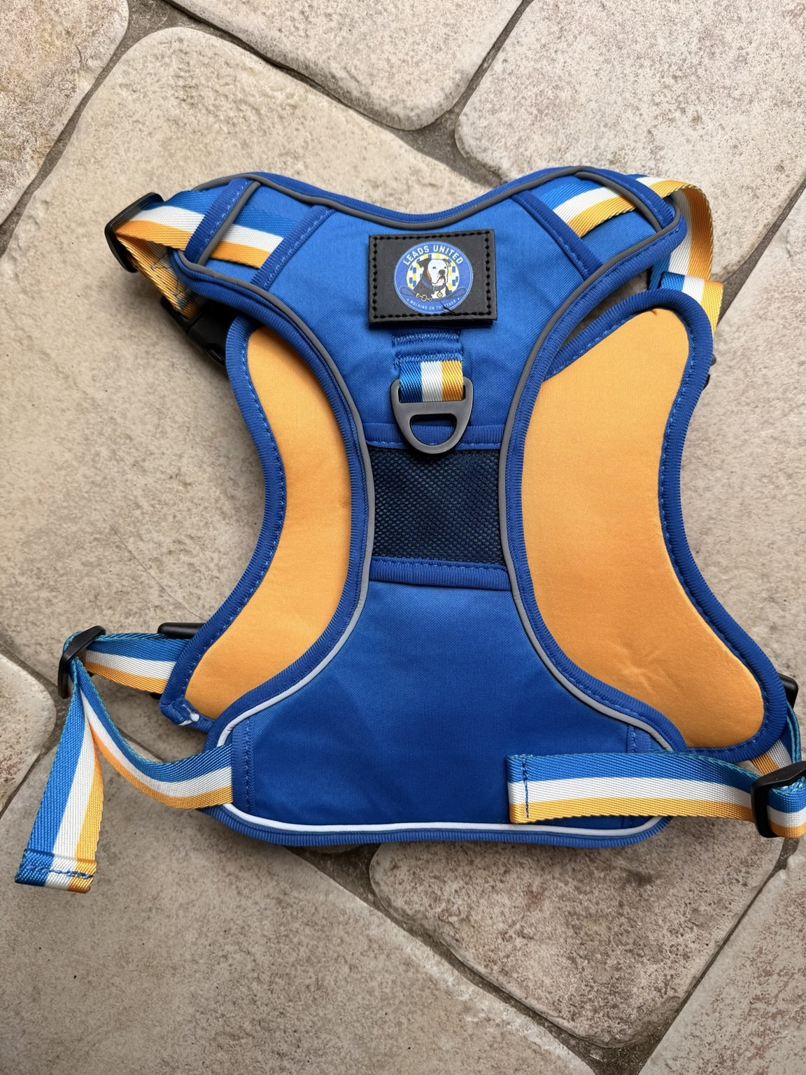 Back view of the Leads United harness showing the padded body, reflective piping, mesh section and rear metal lead ring.