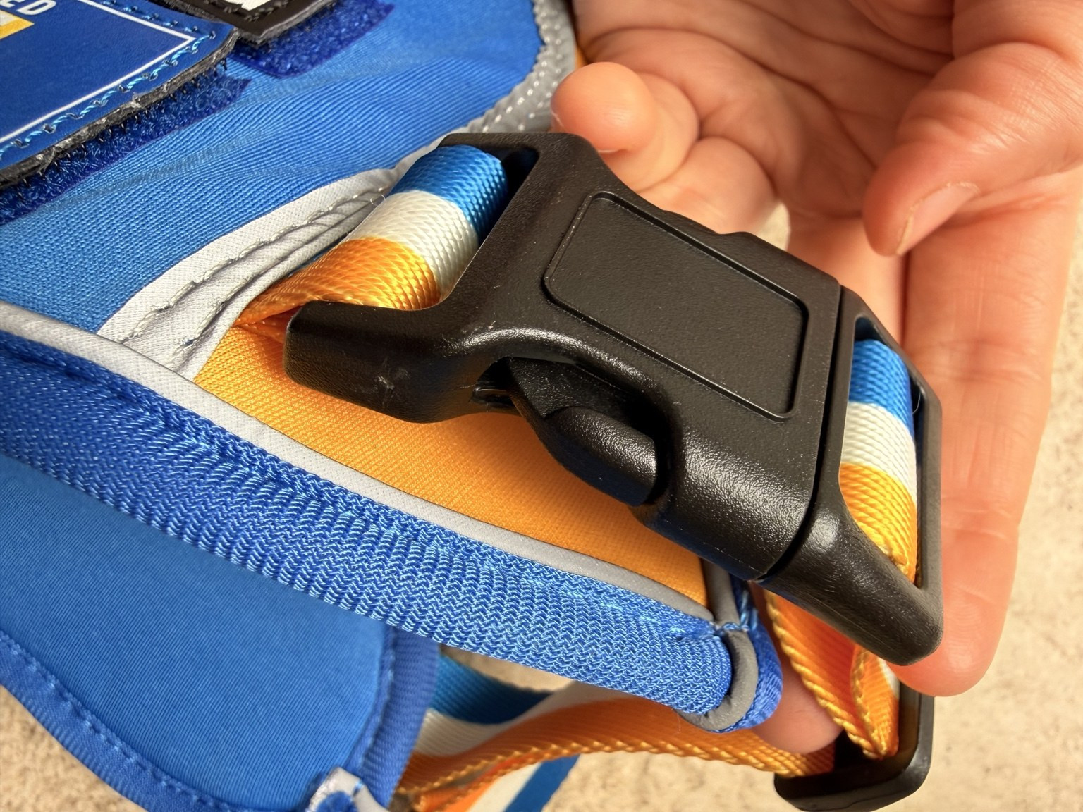 Close view of one of the heavy-duty plastic buckles and adjustable blue, white and yellow harness strap.